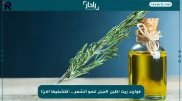 فوائد زيت إكليل الجبل لنمو الشعر… اكتشفيها الآن!